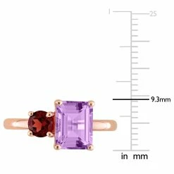 Top 10 💯 Mimi & Max 2 4/5 CT TGW Octagon Amethyst and Garnet Ring in Rose Gold Plated Sterling Silver for 👩 women 🛒 -Mimi & Max Shop 8a1942e2b91743688f139c474b5498ee 9814fb00 c2c2 4885 81ff f7b9cf6b1854 1080x